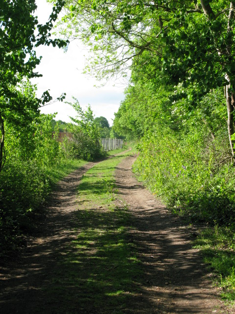 Footpath linking the A257 to Bekesbourne Lane