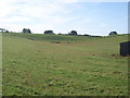 Farmland near Cromarty