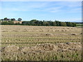 Farmland near Borderside