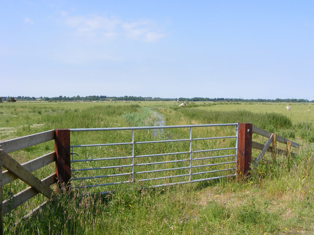 Gateway to Haddiscoe Marshes