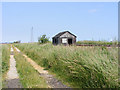 TM4599 : Farm track and railway beside the New Cut by Glen Denny