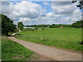 Private road and footpath to Woolton Farm