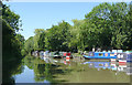 Ashby Canal moorings by Wykin Bridge, Leicestershire