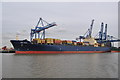 Tilbury Docks - MSC Mira