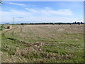 Farmland near Roselea