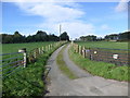 Track to Ewebrae Croft