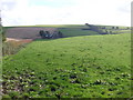 Farmland near Ewebrae Croft