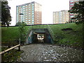 A underpass on Lovell Park Road, Leeds