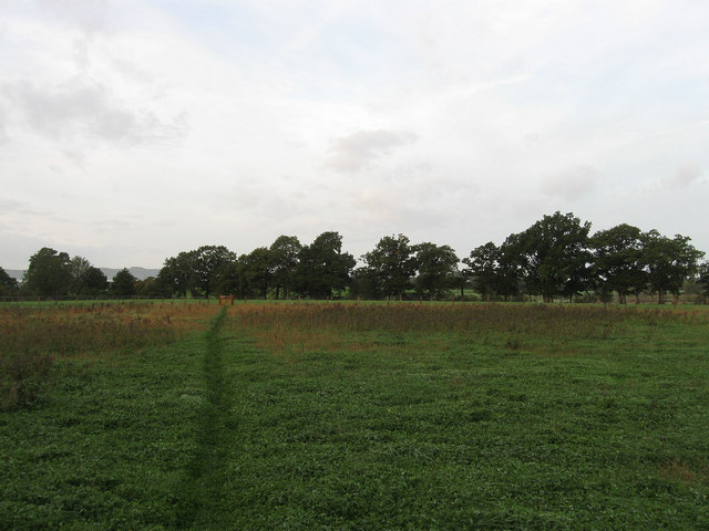 Brice's Field