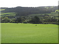 Pastures and woodland east of West Mill Hills