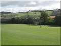 Pastures and woodland east of West Mill Hills (3)