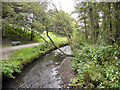 River Irk, Chadderton Hall Park