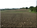 Undulating fields beside Fen Lane