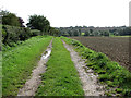 Track south of Chapel Farm