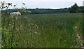 Farmland south of Loughborough