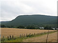 Wheat fields NE of Ballater