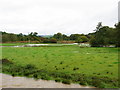 River Dulas in flood