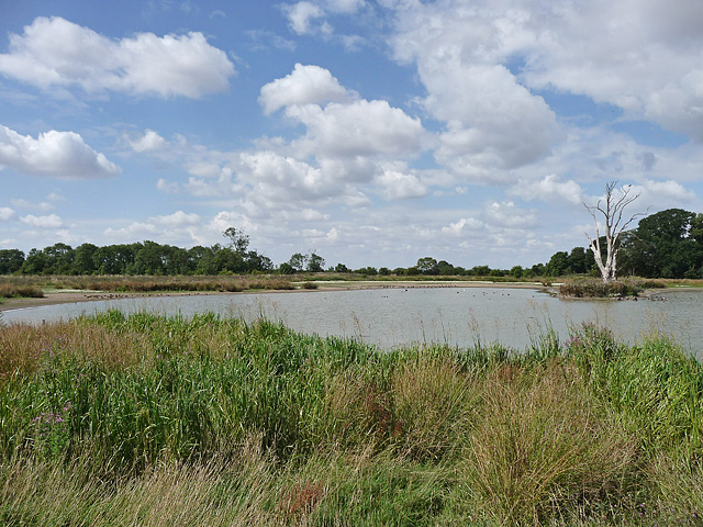 Hagnaby Fen Nature Area (1) © Stephen Richards cc-by-sa/2.0 :: Geograph ...