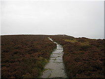 NZ5603 : The Cleveland Way near White Hill by Philip Barker