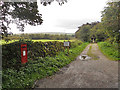 Footpath to Tarn Moss