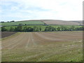 Farmland near Thomastown