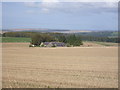 Farmland towards Zamek of Seggat