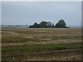 Farmland near Newton of Craigston