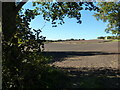 Field near Dore, Sheffield