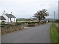 Llain-yr-henryd and Rhiwlas cottages south of Sarn Bach