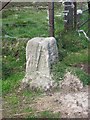 NT7167 : Boundary stone, Wester Dod by Richard Webb