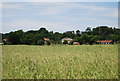 Cottages on Hever Rd, Bough Beech