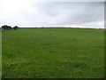 Farmland near Walkerhill