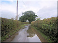 Flooded lane just north of Redwith Farm