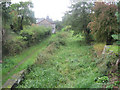 Overgrown canal looking south