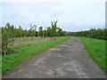 SP2239 : Driveway to The Bungalow and Far Longdon Farm by David P Howard