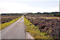 NH6536 : Road across the moorland near Bunachton by Steven Brown