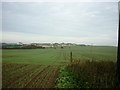 Looking across to Waxholme