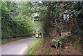 Footpath off Barhatch Lane