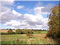 Farmland near Stewarton