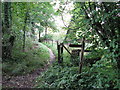 Concrete footpath entering Cocking