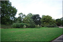TQ2877 : Battersea Park - edge of the deer enclosure by N Chadwick