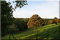 Grazing land between Mellor and Mill Brow