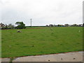 View towards High Knocke from the miniature railway