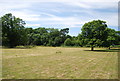 A well mown field, How Green