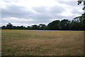 Field north of Cranleigh