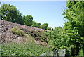 Railway embankment east of Newington