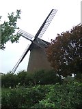 SZ6387 : Bembridge Windmill by David Smith