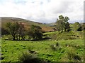 Liggins Townland