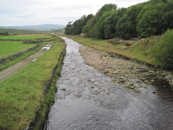 River Nent from Foreshield Bridge