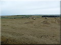 Farmland near Drywells